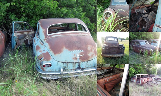 In the future I will look more in this car grave yard