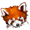 1283549784_Firefoxpandaroux.png