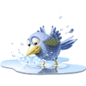 poolbird