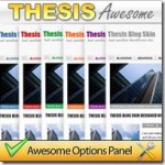 blogskin_thesis_theme.jpg