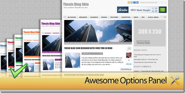 ThesisAwesome.com Blog Skin Options Panel!