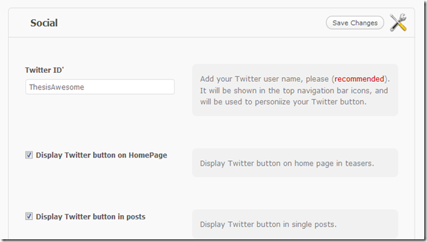 ThesisAwesome.com Blog Skin Options Panel!