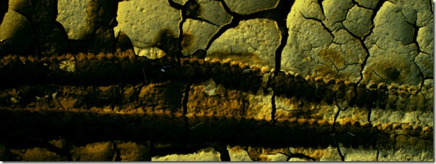 Free High Quality Cracked Textures