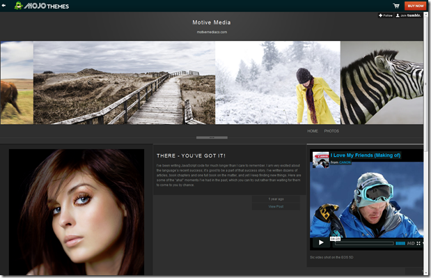 Mojo Premium Tumblr Themes