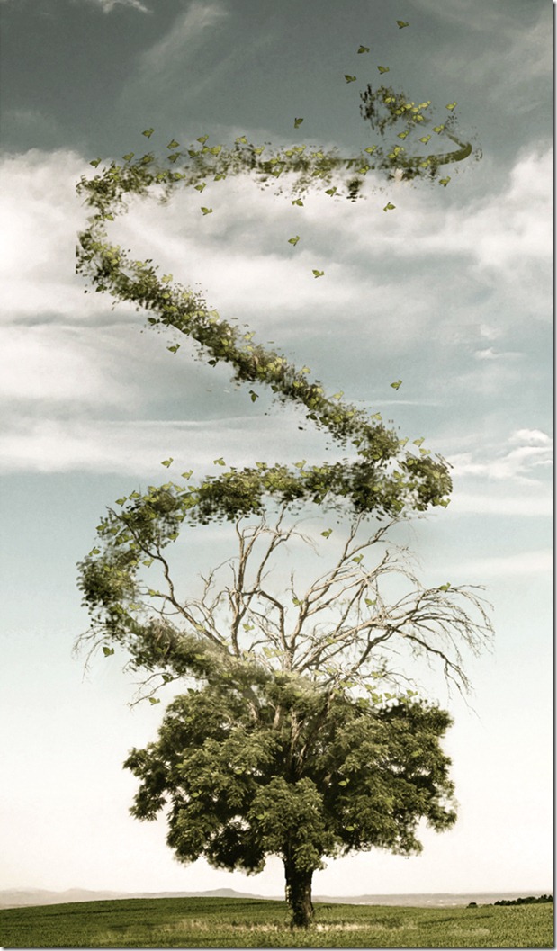 Surreal Photo Manipulations