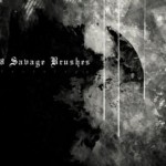 savage-brushes.jpg