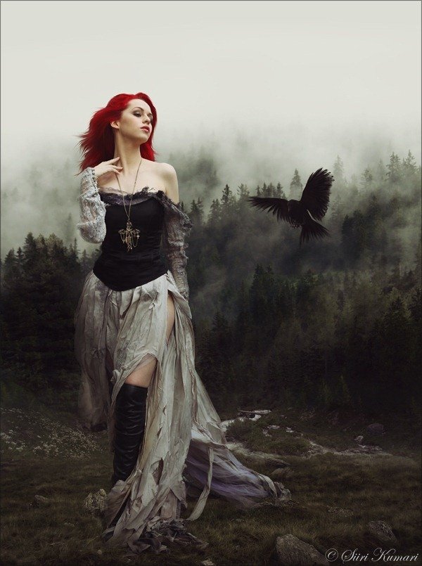How to Create this "Into the Wild" Photo Manipulation in Photoshop
