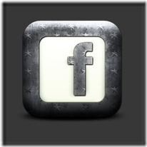 131576whitewashedstarpatternediconsocialmedialogosfacebooklogosquare thumb How to Add a Facebook Fan Page Box To WordPress