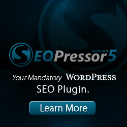 The Mandatory WordPress SEO Plugin
